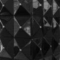 22809055image2925