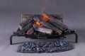 22810978image7596