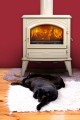 22808738image11743